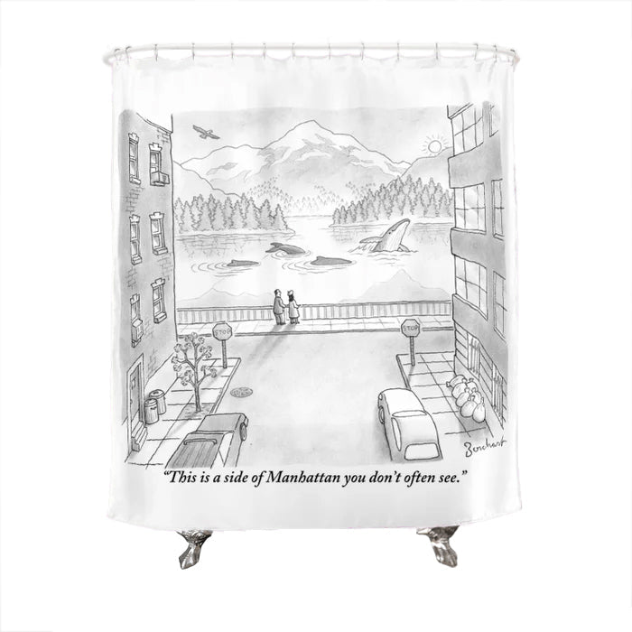 A Side of Manhattan You Don't Often See Shower Curtain