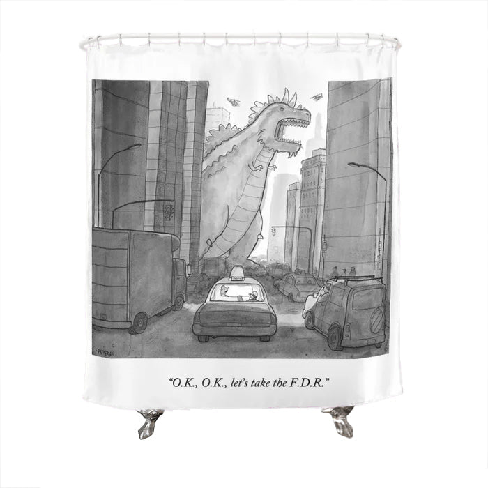 Let's Take the F.D.R. Shower Curtain