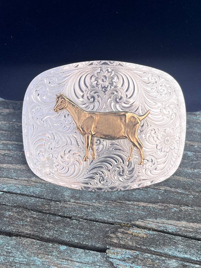 Montana Silversmiths Show Goat Buckle 6507SG-Painted Cowgirl Western Store