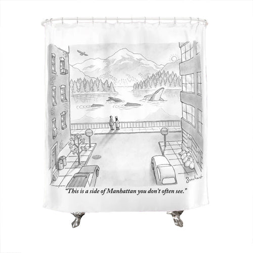 A Side of Manhattan You Don't Often See Shower Curtain