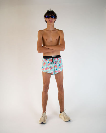 Men's Flying Pigs 2" DS Split Shorts